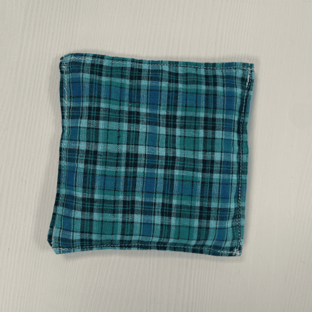 Sansepose - Gr�n/bl� tern