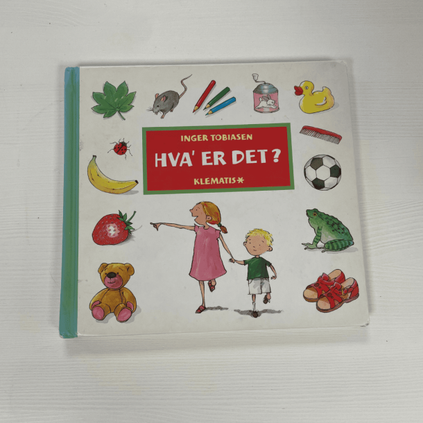 Bog "Hvad er det?"